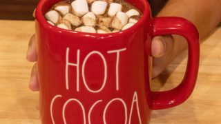 Homemade Hot Chocolate Mix - House of Nash Eats